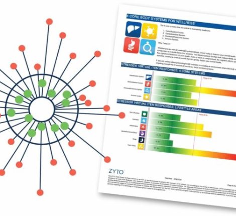 zyto-balance-wellness-report-page-and-dynamic-profile-graphic-768x460